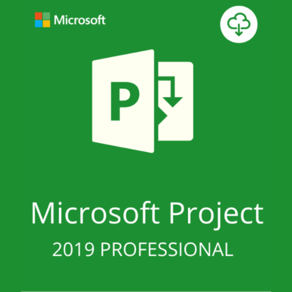 Microsoft Project Professional 2019