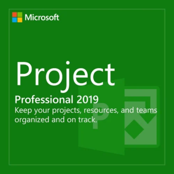 Microsoft Project Professional 2019