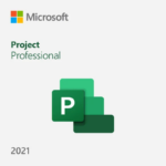 Microsoft Visio Professional 2021